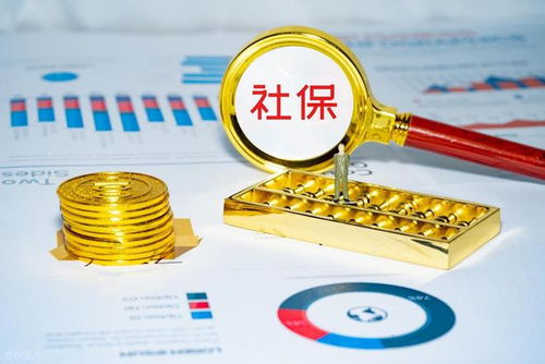 社保錢袋子誰掏空？強制繳費究竟保護誰？企業(yè)最終僅認這一招