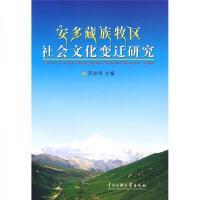 社會經濟咨詢服務 賦能發展，洞見未來